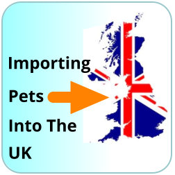 importing pets into the uk